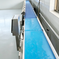 Rotatieband weegsorteermachine voor fruit, geschikt voor kersen, bosbessen, kiwi's, appels, granaatappels en zeevruchten.