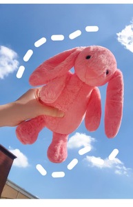 Jouets en peluche <span class=keywords><strong>lapin</strong></span> de Pâques brodés classiques OEM/ODM avec matériau doux <span class=keywords><strong>et</strong></span> confortable, différentes tailles <span class=keywords><strong>et</strong></span> couleurs - Product Image 5