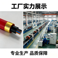 Câble électrique blindé multiconducteurs optiques résistant aux flammes XINQIAO MGTSV en cuivre massif pour l'exploitation minière