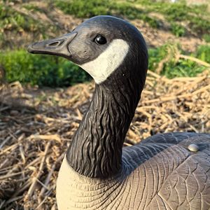 Offre Spéciale : Leurre Flottant Réaliste 3D en Plastique pour <span class=keywords><strong>Chasse</strong></span> au Canard – Accessoire <span class=keywords><strong>de</strong></span> <span class=keywords><strong>Chasse</strong></span> Léger pour l'Extérieur - Product Image 1