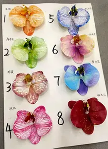 2024 yeni tasarım kelebek orkide güve Phalaenopsis bitki çiçek dekorasyon için 9 kafaları gökkuşağı renk serisi