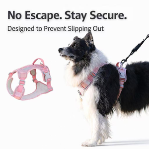 Arnés para Perro de Malla Transpirable con Anillo en O Frontal, Tiras Reflectantes, Sin Estrangulamiento, con Airtag - Product Image 4