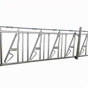 Automatic Cattle Yard Headlock Dairy Cow Yard Headlock For Sale From China Manufacture