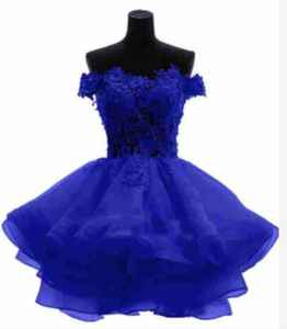 Lieverd Appliques Tule Thuiskomst Afstuderen Formele Feestjurk Mini Korte Prom Meisjes Jurken - Product Image 6