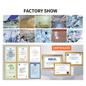 Palitos de <span class=keywords><strong>Gelatina</strong></span> de Limón y Miel Beverly - Sabor Natural, Apoyo Digestivo, Antioxidante, Refuerzo Inmunológico |   Vegano 0 Grasa |   Adulto |   OEM/ODM - Product Image 5