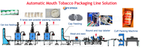 Ligne de machines d'emballage et de remplissage pour sachets de tabac à priser Feibin, pour poudre humide, petite poudre à priser, tabac à mâcher en boîte