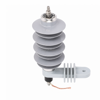 Parafoudre à oxyde de zinc en boîtier polymère 6,6 kV 10 kV YH10W-9 YH10W-10 pour distribution
