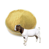 Supplément bière Ingrédients nutrition brasseurs levure animal bétail volaille animaux de compagnie bière levure poudre
