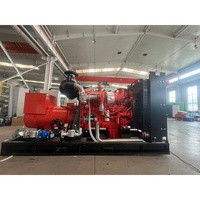 Générateur de courant à gaz domestique à fonctionnement continu écologique 40 kW 60 kW 200 kW 300 kW 400 kW