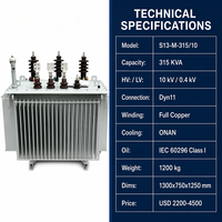 Transformador de Distribución Trifásico de 315KVA, 10kV/0.4kV, Sumergido en Aceite, de Rendimiento Estable, Marca Wanbo-310, Directo de Fábrica