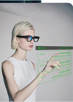 Lunettes intelligentes Inmo Go2 : Traduction en temps réel, téléprompteur, sous-titres bilingues simultanés, assistant de conférence IA pour une efficacité accrue