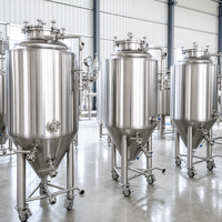 Cuve de Fermentation Conique en Acier Inoxydable Tonsen 1000L (10HL) avec Système de Refroidissement pour Microbrasserie
