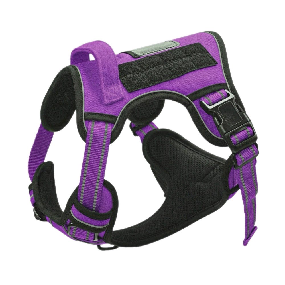 Royal Purple