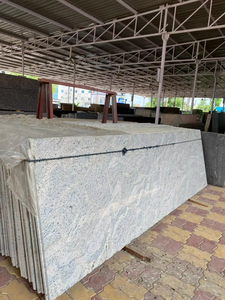 Granito Blanco de Cachemira, Superficie Pulida, Estilo Natural, Gran Formato, para Encimeras y Pisos, Uso en Hogares y Villas, Granito Blanco - Product Image 5