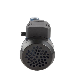Pompe à eau électrique périphérique de surface pour maison et jardin, série <span class=keywords><strong>QB</strong></span>, 0,5 CV, 0,37 kW, moteur <span class=keywords><strong>60</strong></span>, 1,5 CV, vortex, pression - Product Image 5