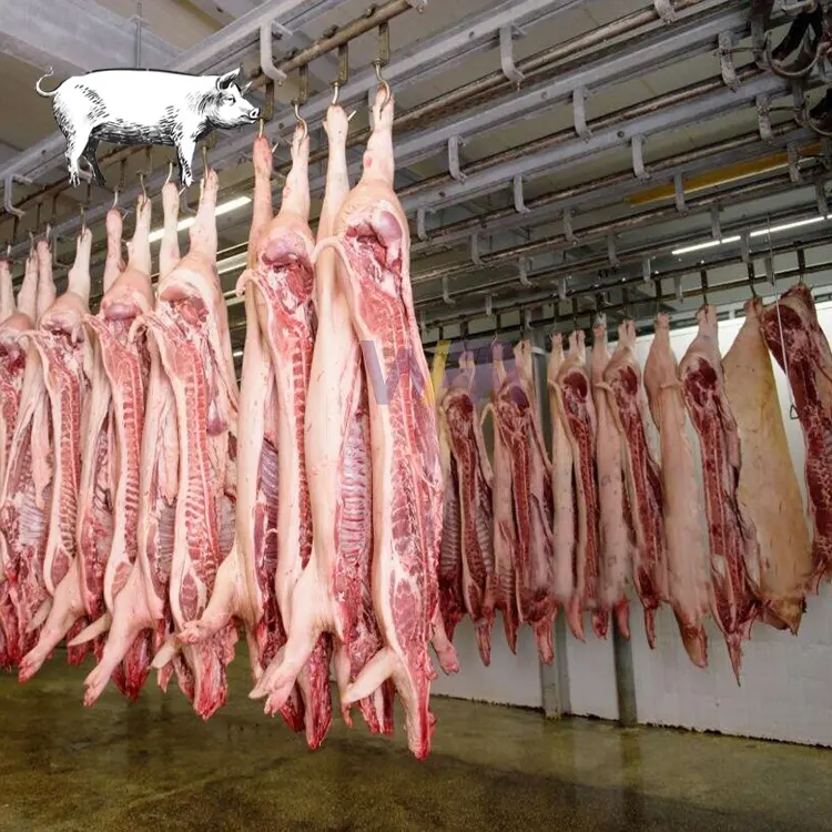 संपूर्ण 50 -100 सुअर प्रति दिन, पोर्क बो बो कसाई वध मशीन के लिए छोटे वधशाला उपकरण वधशाला