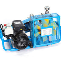 Compresseur d'air comprimé haute pression 300bar 100L réservoir d'air de plongée Portable alimentation spéciale