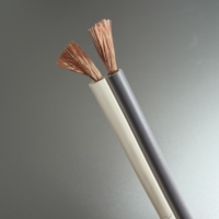 Câble de haut-parleur plat double 16AWG, 2 conducteurs, OFC, cuivre sans oxygène, flexible, pour système audio stéréo, pour le câblage mural de cinéma maison