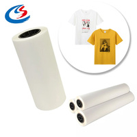 Film DTF (Direct to Film) de haute qualité, rouleau/feuille de 60 cm x 100 m, double face, facile à décoller, transfert thermique pour vêtements