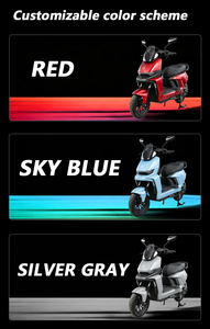มอเตอร์ไซค์ CKD SKD 12 นิ้ว 1100/1300 วัตต์ ความเร็ว 60 กม./ชม. จiangsu โมเพดสำหรับผู้ใหญ่ ขับขี่บนถนน - Product Image 2