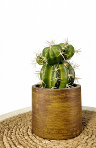 Plante artificielle en pot de <span class=keywords><strong>cactus</strong></span> à épines de haute qualité, bonsaï, verdure, plante artificielle décorative pour la décoration de bureau - Product Image 4