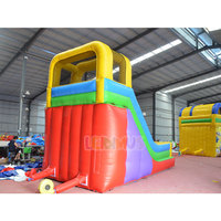 Toboggan Gonflable Sec Personnalisé Maison Gonflable Toboggan Aquatique pour Enfants Adultes avec Souffleur à Vendre