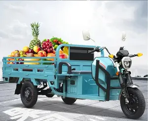 1200W 48V 60V 20A फ्रीस्टाइल इलेक्ट्रिक ट्राइसाइकिल कार्गो ट्रक वयस्क चेसिस 3 व्हील के लिए बिग व्हील ट्राइसाइकिल