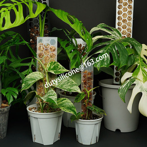 Bâton de mousse en plastique modulaire bricolage <span class=keywords><strong>pour</strong></span> bâtons de <span class=keywords><strong>plantes</strong></span> Monstera, <span class=keywords><strong>Support</strong></span> de <span class=keywords><strong>plantes</strong></span> <span class=keywords><strong>grimpantes</strong></span>, <span class=keywords><strong>plantes</strong></span> <span class=keywords><strong>d</strong></span>'<span class=keywords><strong>intérieur</strong></span> - Product Image 2