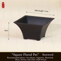 Pot de fleurs carré en résine de style chinois avec plusieurs trous de drainage, jardinière pour usage domestique pour les plantes succulentes, les cactus, les bonsaïs