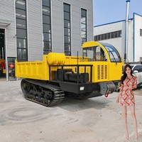 Chinesischer Raupentransporter Minidumper Diesel Benzin Raupenkipper Mini 500kg