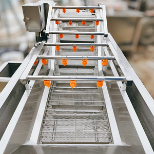Laveuse de fruits et légumes à courant de Foucault pour tomates cerises et noix de coco, nouvelle ligne de lavage commerciale à <span class=keywords><strong>prix</strong></span> d'usine - Product Image 4