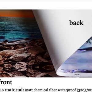 Decoración de Pared, Arte de Pavo Real, Impresiones Modernas, Cuadros Contemporáneos para el Hogar, Impresión de Póster de Animales, Pintura en Lienzo - Product Image 6