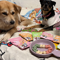 RANOVA Salud Intestinal, Gránulos Funcionales con Alto Contenido de Proteína de Pollo, Multivitaminas, Pelo Brillante, Control de Bolas de Pelo, para Perros y Gatos