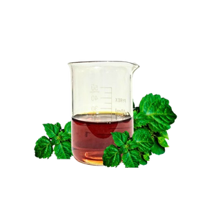 Esencia de Pachulí Indonesio de Alta Calidad con Aroma Amaderado Terroso para Fijador de Aromas - Product Image 1