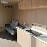 Maison préfabriquée de luxe de 40 pieds, modèle de cabane Apple détachable, capsule spatiale de taille personnalisée, conteneur SHANEOK, maison conteneur