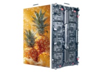 Pantalla LED para Video Wall de 500x1000mm a Todo Color para Interiores/Exteriores con Estuche de Transporte y Gabinete de Alquiler para Uso en Ascensores