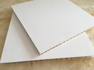 Fiber <span class=keywords><strong>de</strong></span> <span class=keywords><strong>verre</strong></span> PP nid d'abeille <span class=keywords><strong>panneau</strong></span> sandwich - Product Image 5