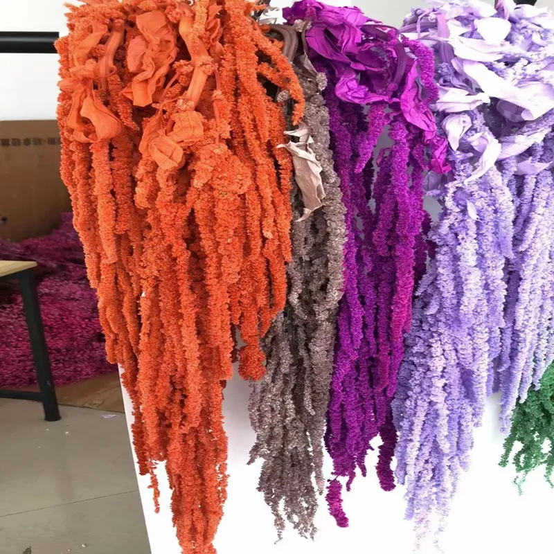 Ins Hot Sale New Product Good Quality Preserved Hanging Style Amaranthus Flower For Home And Wedding Decoration