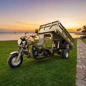 Tricycles motorisés 200CC à essence, tricycles à trois roues, tricycles de transport de marchandises - Product Image 1
