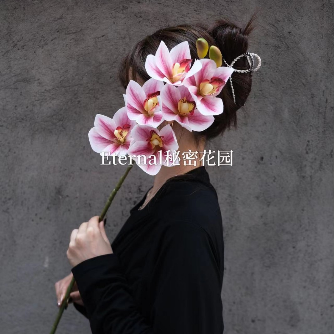 Cymbidium granflorum coeur rose Blanc