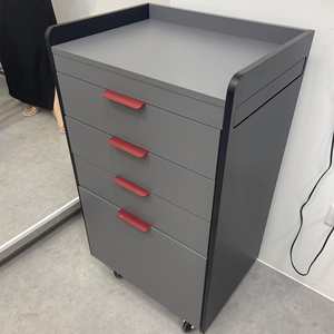 Moderne Luxe Professionele Kapsalon Apparatuur Werkende <span class=keywords><strong>Trolley</strong></span> 2 Laag Draagbare En Opvouwbare Sedan <span class=keywords><strong>Trolley</strong></span> Met Wiel - Product Image 3