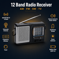 Radio portable AM FM SW TV 12 bandes, en ABS, moulage privé, fabrication directe d'usine, certifiée CE, fournisseur en gros