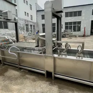 Commerciële Volautomatische Groentewasmachine, Fruit En Plantaardige Bubbelreinigingsmachine