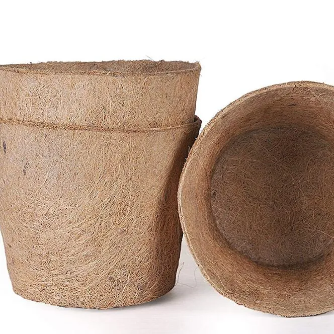Vaso de coir vietnamita/coco-helen + 84374288086