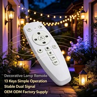 Control Remoto Inalámbrico JCXK de 13 Teclas IR y RF433 para Lámparas LED Inteligentes, Personalizable OEM/ODM
