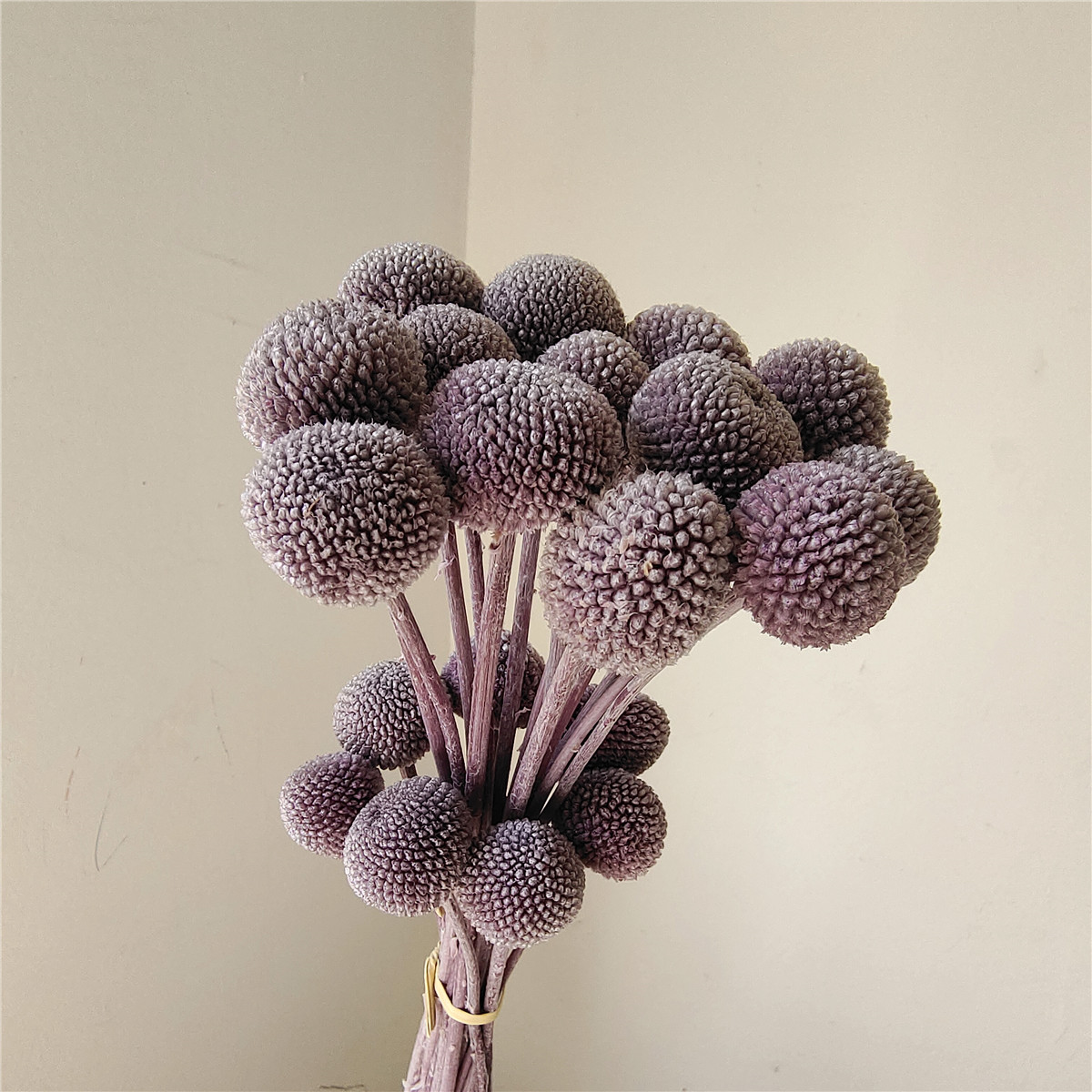 Taro violet