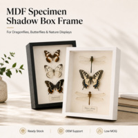 Cadre en bois MDF profond pour bouquet de fleurs séchées, présentoir mural ou de table, cadre photo, décoration maison et mariage