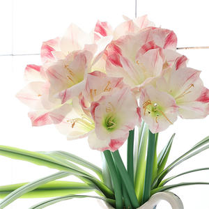Vente chaude 3D Real Touch Rouge <span class=keywords><strong>Amaryllis</strong></span> Bulbes Plante Artificielle Fleur Tiges pour Mariage Nouvel An Noël Graduation Pâques - Product Image 3