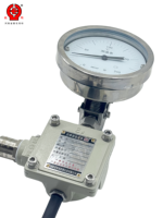 Termómetro Bimetálico a Prueba de Explosiones BWSSP Ex d IIC T6 Gb Pt100 RTD con Salida Remota, Carcasa de Acero Inoxidable, Indicador de Dial, OEM/ODM, IP66 1.5/2.0