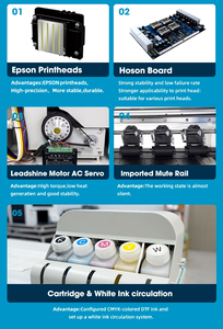 Stampante DTF Economica, Macchina per Stampa su Magliette, Stampante DTF Doppia XP600 con Macchina per Agitare la Polvere - Product Image 5